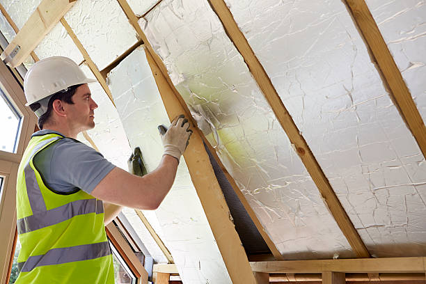 Best Insulation Installation Services in Kotlik, AK
