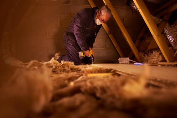 Best Commercial Insulation in Kotlik, AK